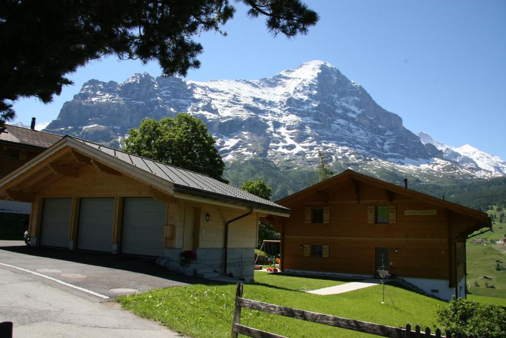 Chalet Baergbaechli Grindelwald Ngoại thất bức ảnh
