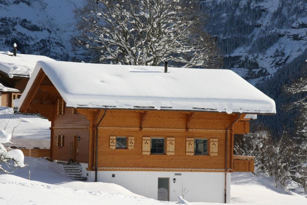 Chalet Baergbaechli Grindelwald Ngoại thất bức ảnh