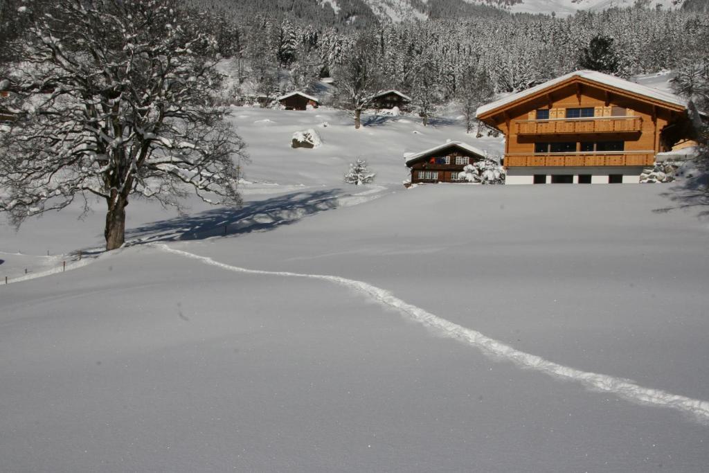 Chalet Baergbaechli Grindelwald Ngoại thất bức ảnh