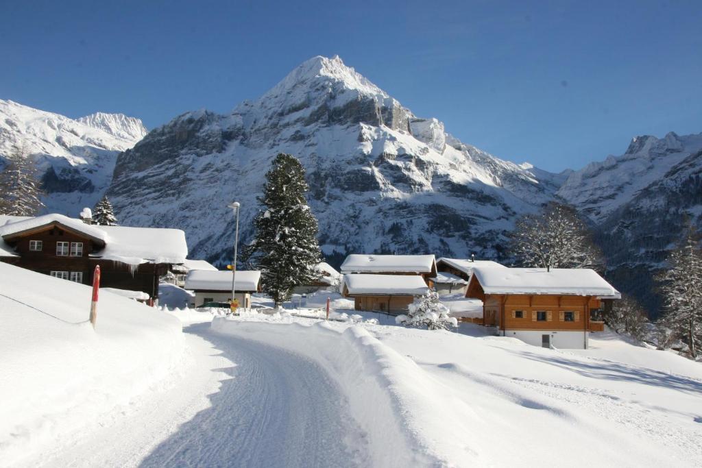 Chalet Baergbaechli Grindelwald Ngoại thất bức ảnh